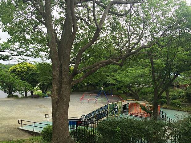 いの山東公園 850m 少年野球ができるように整備された公園。春にはきれいな桜が見られ、お花見で賑わいます。