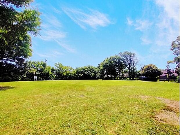 白百合公園 350m プールもある市民の憩いの場。遊歩道を散歩するだけで気持ちの良い公園。