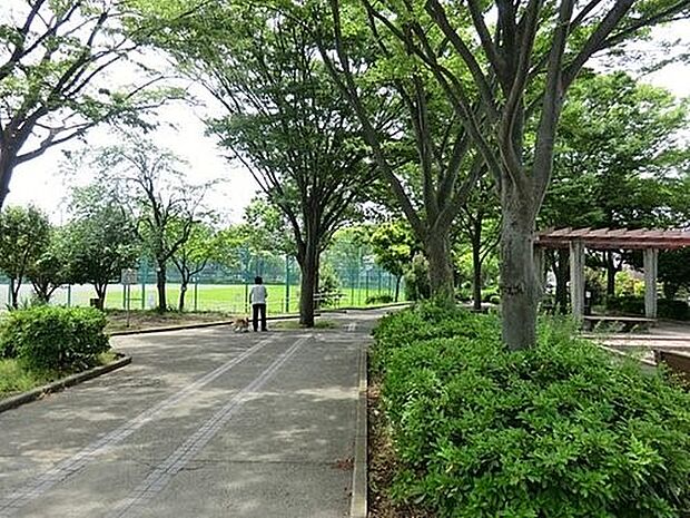 六浦大道公園 130m サッカーや野球のできるグラウンドがあります。翠溢れる街のオアシスとして、近隣の方に愛されています。