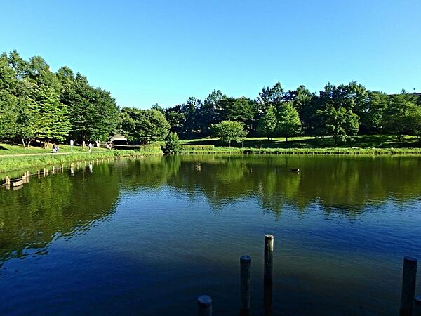 徳生公園　24m　高層住宅群の中心部に立地する大きな池のある公園。変化に富む風景を 楽しみながら散策できます。
