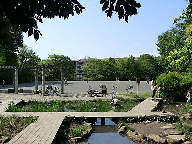坪呑公園 210m かつて雑木林だったエリアを上手に生かした形で人工的に整備し、自然豊かな公園として生まれました。