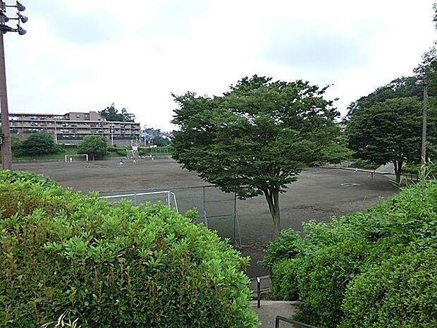 深堀中央公園 250m 専用駐車場を持つ広い公営公園。遊具のある広場のほか、夜間照明付き運動場が2面あります。