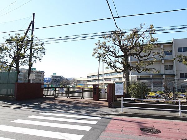 周辺を拡大表示