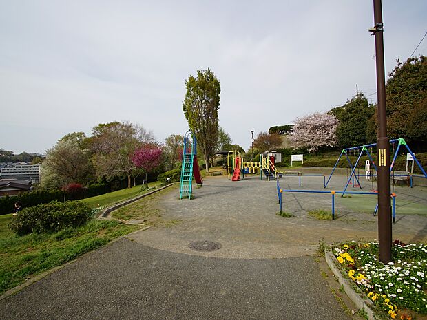 六ツ川中央公園 550m 南側にはお子様が楽しく遊べる遊具のある広場、北側には緑が豊かな自然を楽しむエリアが広がります。