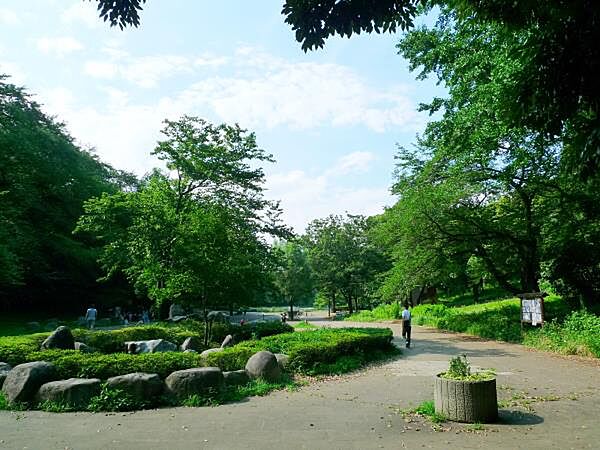 三ッ池公園　230m　池や森のある広大な敷地にプール、テニスコートなどの施設が点在する県立公園。