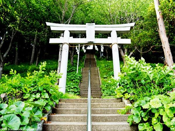 森浅間神社　600m　長い参道の階段を抜けると見えてくる朱色の鳥居。鎌倉時代からの歴史を感じさせる佇まいを見せています。