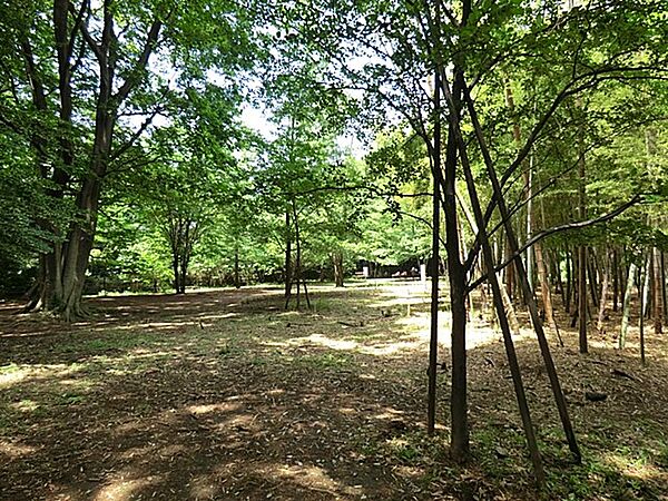 日吉の丘公園　180m　日吉エリアを一望できる小高い丘の上にある公園。森林浴や散策で四季折々の自然を感じられます。