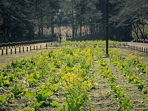 横浜市児童遊園地 400m 元々の地形や樹木を活かした緑に囲まれたのどかな公園。広場や遊び場、多様な施設が整備されています。
