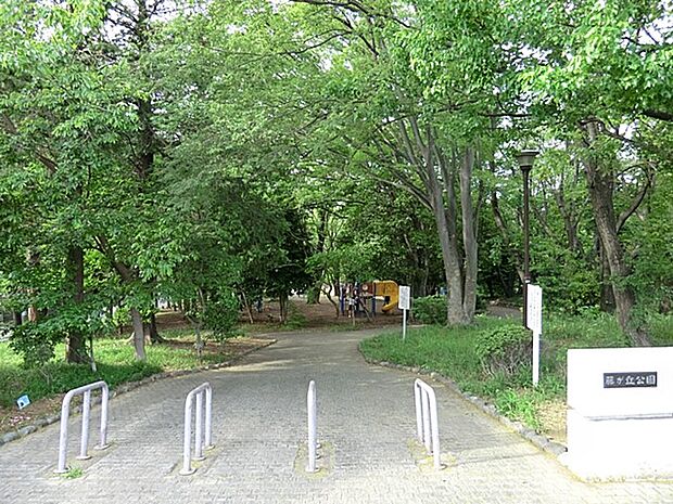 藤が丘公園 650m 緑が多く森林浴ができそうな大きな公園。高低差がありジョギング・ウォーキングにもおススメです。
