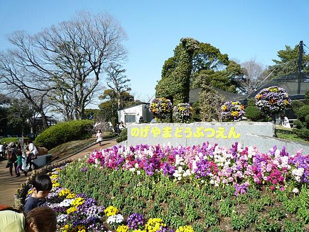 野毛山公園・動物園 650m 『入場料無料』が、とっても魅力的な動物園。キリン、トラ、ペンギン、爬虫類など、約90種類の動物達と出会うことができます。小動物とのふれあいコーナーも。