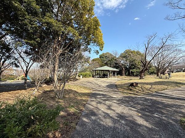 仏向行坐谷公園　350m　春には綺麗な桜の花も見られる気持ちの良い公園。みなとみらいの夜景も楽しめます。