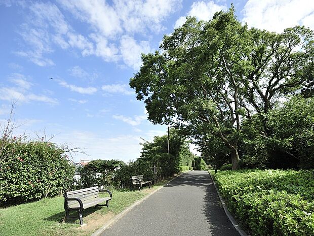 本牧山頂公園 850m べイブリッジやランドマークタワーを一望できる見晴らしのよい公園です。大自然の中でゆったりと寛げます。