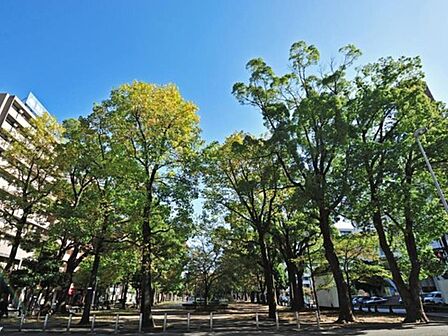 大通り公園　400m　波のイメージのタイルのモザイクや流氷のイメージのオブジェがあり、自分流で楽しめる公園です。 