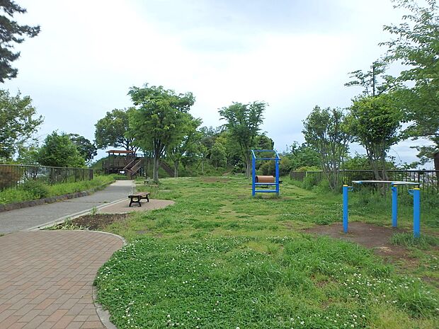 秋葉台公園 1500m 高台にあり桜の名所として知られています。展望デッキや展望広場もあり、夜は夜景が綺麗に見られます。