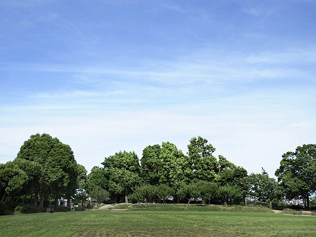 洋光台北公園 650m 緑の多い園内は小さな雑木林を思わせる雰囲気あり、散策コースとしても。滑り台やブランコなど遊具もあり。