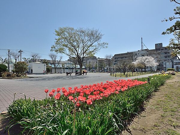 岡野公園　450m　野球場、プールから遊具は幼児も遊べるものまでそろっている、子供たちは退屈することのない場所です