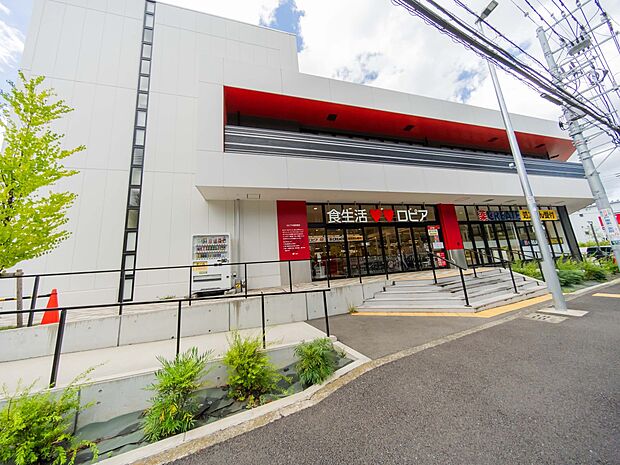 ロピア権太坂店 1000m 毎日の食卓を彩る多彩な食料品がお手頃価格で揃います。ドラッグストアのクリエイト併設で便利です。