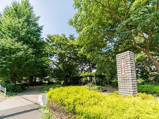 県立保土ケ谷公園　900m　スタンド付の野球場、サッカー場、ラグビー場、テニスコートなど運動施設が整っている公園。 