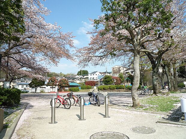 上山町南公園 190m 広場もあり、家族でのんびりお花見ができます。