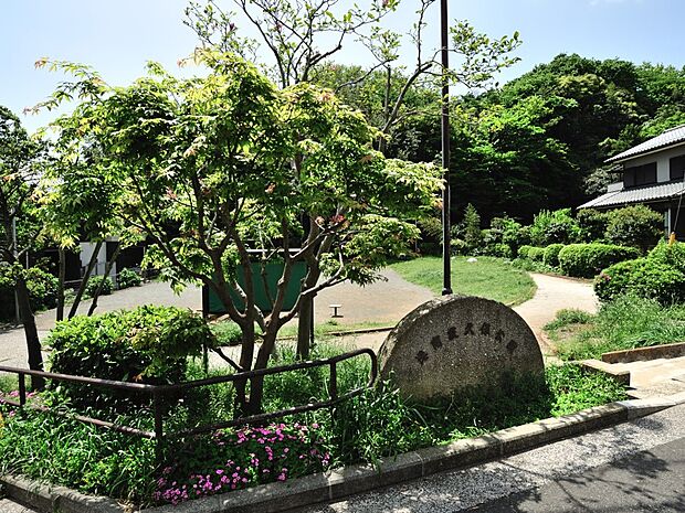 港南荻久保公園 200m 住宅街の小さな公園。毎年6月になると地域の方々の活動で生息するようになったホタルが飛び始めます。