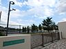 周辺：横浜市立美しが丘西小学校　950m　徒歩12分。子育て世代に優しい落ち着いた住環境。 