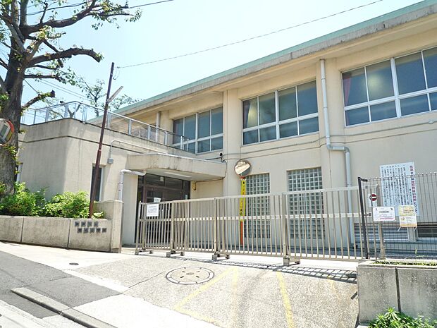 横浜市立菊名小学校 800m 徒歩10分。小学校が近いのは子育てファミリーにもおすすめのポイント。