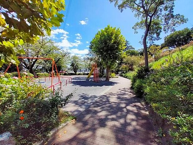 秋葉台公園 　800m　高台にあり桜の名所として知られています。夜は夜景が綺麗に見られます。 