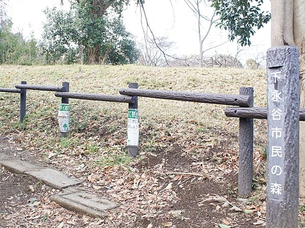 下永谷市民の森　650m　夏の夜、林の中の小道を歩くと、カブトムシの住みかがいっぱいの自然豊かな公園。