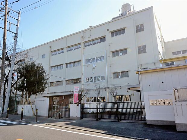 横浜市立桂台小学校　300m　徒歩4分。小学校が近いのは子育てファミリーにもおすすめのポイント。 