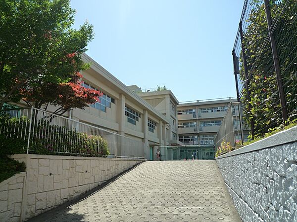 横浜市立青木小学校　350m　徒歩5分。小学校が近いのは子育てファミリーにもおすすめのポイント。