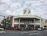 周辺：イトーヨーカドー大船店　500m　朝10時～夜9時まで営業のスーパー。毎日の食卓を彩る食料品から日用品、雑貨まで豊富な品揃えです。8の付く日はハッピーデーです。 