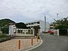 周辺：葉山町立一色小学校　450m　徒歩6分。小学校が近いのは子育てファミリーにもおすすめのポイント。 