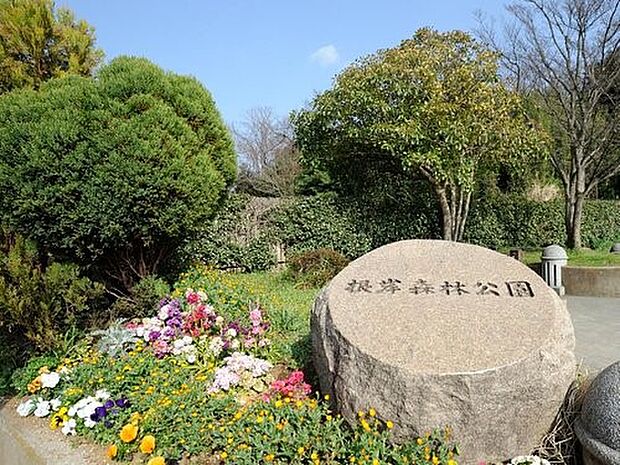 根岸森林公園 800m なだらかな敷地いっぱいに広がる芝生で、のびのび遊べる公園です。春の桜は見事です。