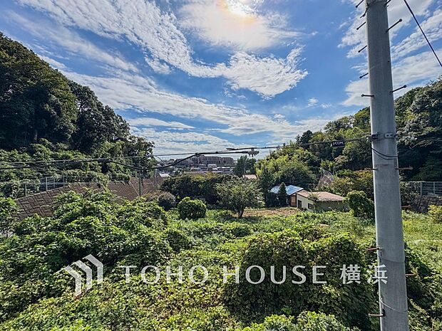 木々の緑がまぶしい、豊かな緑と静寂。ずっと見ていたいと思わせてくれる景色。