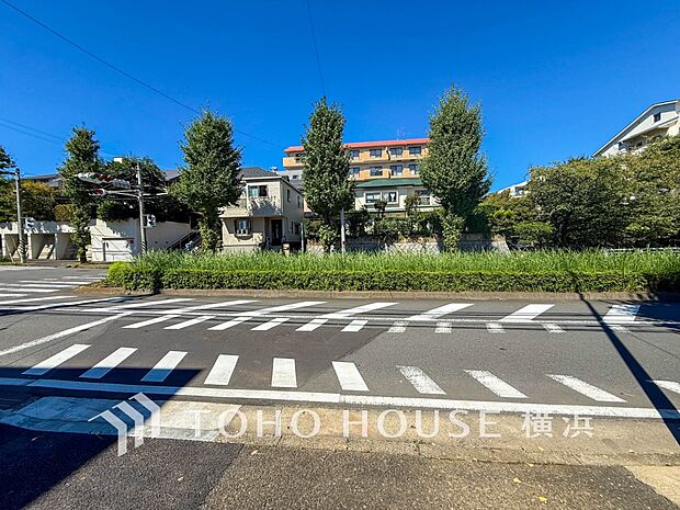 風を感じ青い空から太陽の恵みを感じる温もり溢れる佇まい。(2026年10月撮影)