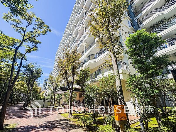 時間のゆとりと空間、爽やかな陽光がもたらす光と風を贅沢なまでに感じる暮らしが始まります。