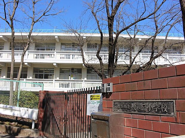 横浜市立榎が丘小学校　450m　徒歩7分。小学校が近いのは子育てファミリーにもおすすめのポイントです。 