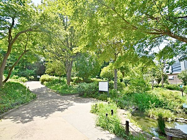 蒔田の森公園　550m　せせらぎや池、広場、自然風庭園などを配し、緑や小鳥のさえずりを楽しみながら寛げます。