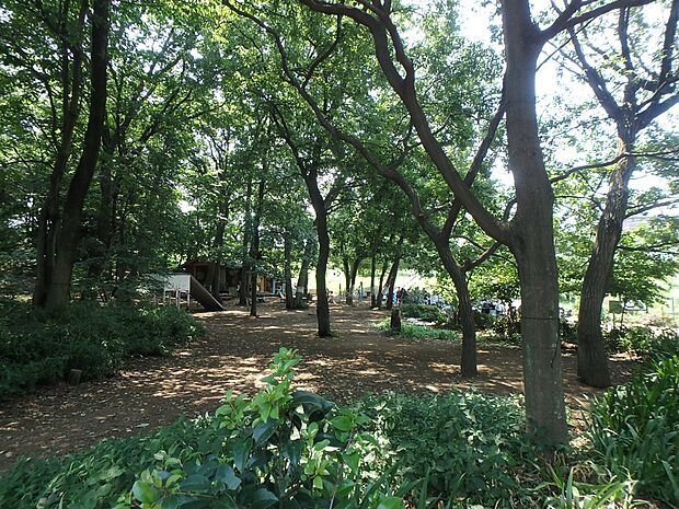 片倉自然公園　100m　地元の人々には「片倉うさぎ山プレイパーク」の呼び名で親しまれています。 