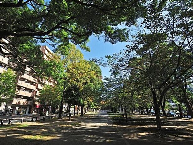 大通り公園　130m　「石の広場」、「水の広場」、「サンク・ガーデン」、「みどりの森」の4つの部分から構成されています。 