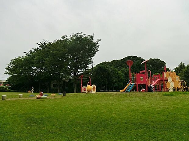 御殿辺公園　1700m　緑がきれいで広々した広場をお散歩できます。大型遊具はお子様に人気！立派な銀杏並木が有名です。 