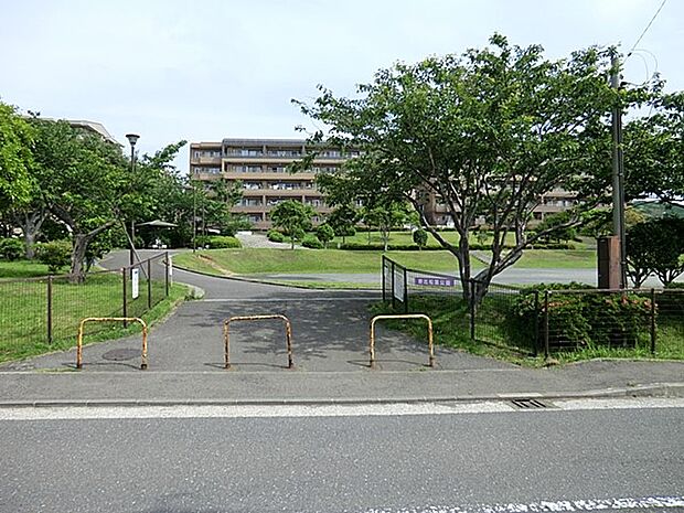 野比松葉公園　500m　広場と遊具のエリアが別になっているので、小さなお子様も安全に遊べます。 