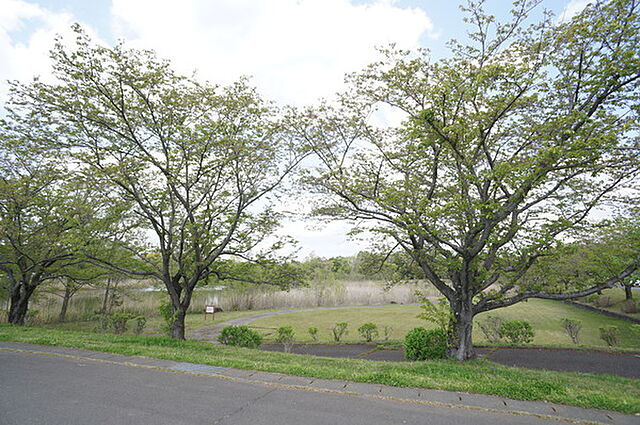 周辺 つくば市今鹿島