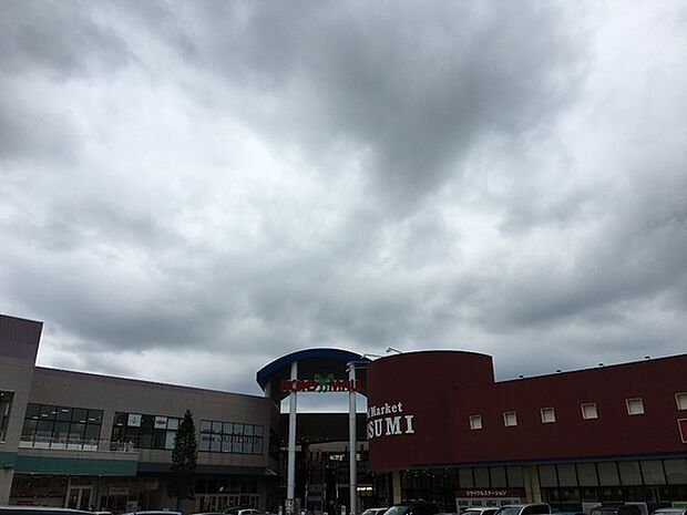 アクロスモール守谷まで2500m