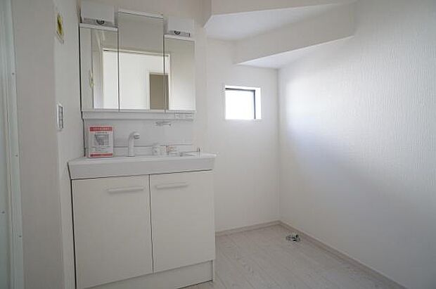 ハンドシャワー付き三面鏡洗面台。