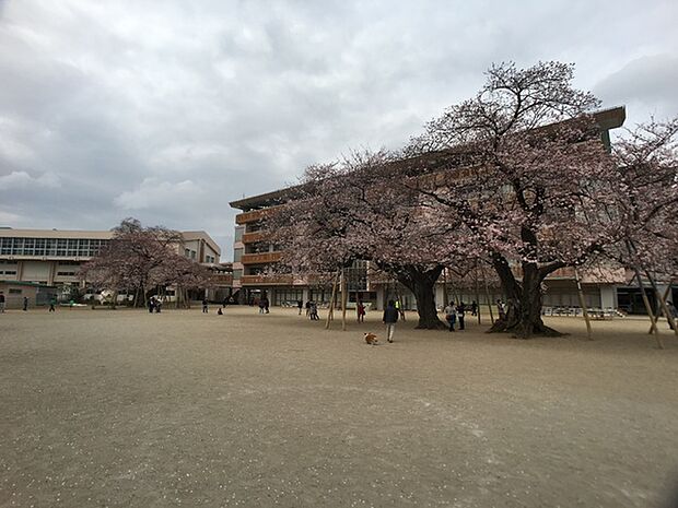土浦市立真鍋小学校まで750m