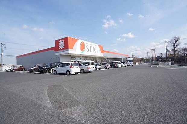 ドラッグストアセキ阿見店まで1405m