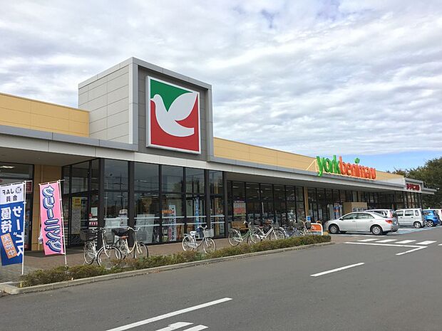 ヨークベニマル牛久南店まで400m
