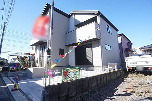 南側に少しのスペースで土仕様の庭。