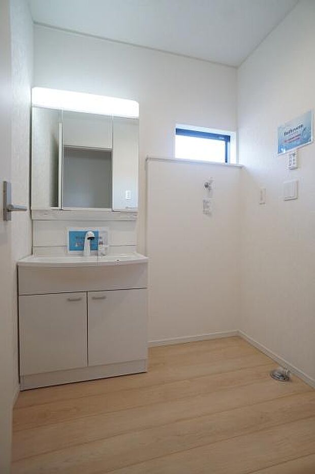 ハンドシャワー付き三面鏡洗面台。